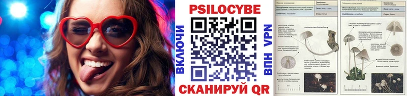 Галлюциногенные грибы Psilocybe  hydra маркетплейс  Обнинск 